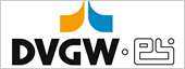 Logo DVGW